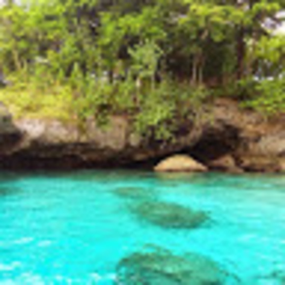 Meet your Posher, Lela - Picture 1 of 1